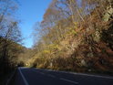 Silnice podél Svitavy pod Výří skálou v době podzimu.