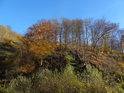 Podzimní západní svah nad Svitavou nedaleko Výří skály.