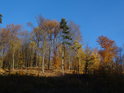Nižší hřbet nad Svitavou v barvě podzimu.