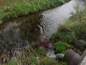 Přes kanalizační potrubí posiluje Svitavu ve Stvolové zprava menší potok, přitékající od Vlkova.