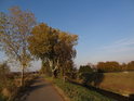 Cyklostezka po pravém břehu Svitavy na opačném břehu Celiny.