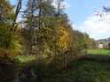 Plot na pravém břehu míří do Svitavy, na levém břehu se pak nachází přírodní památka Park Letovice.
